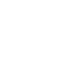 Organization